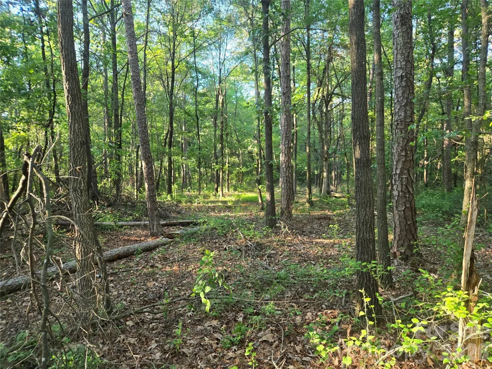 0000 218 Highway E Marshville, NC 28103