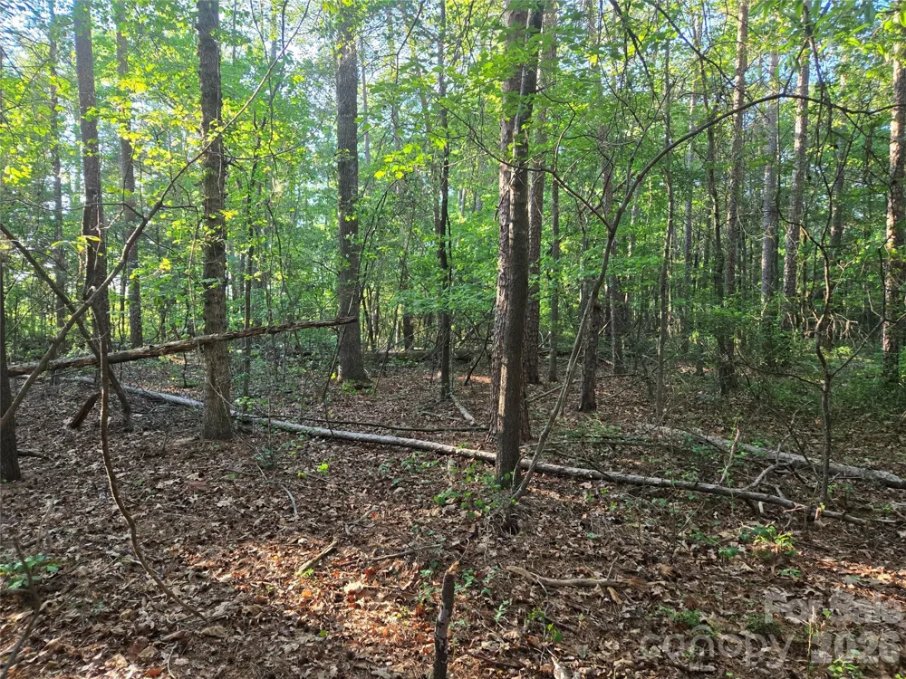 0000 218 Highway E Marshville, NC 28103
