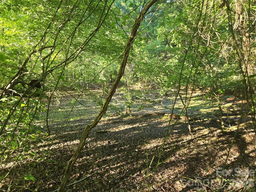 0000 218 Highway E Marshville, NC 28103