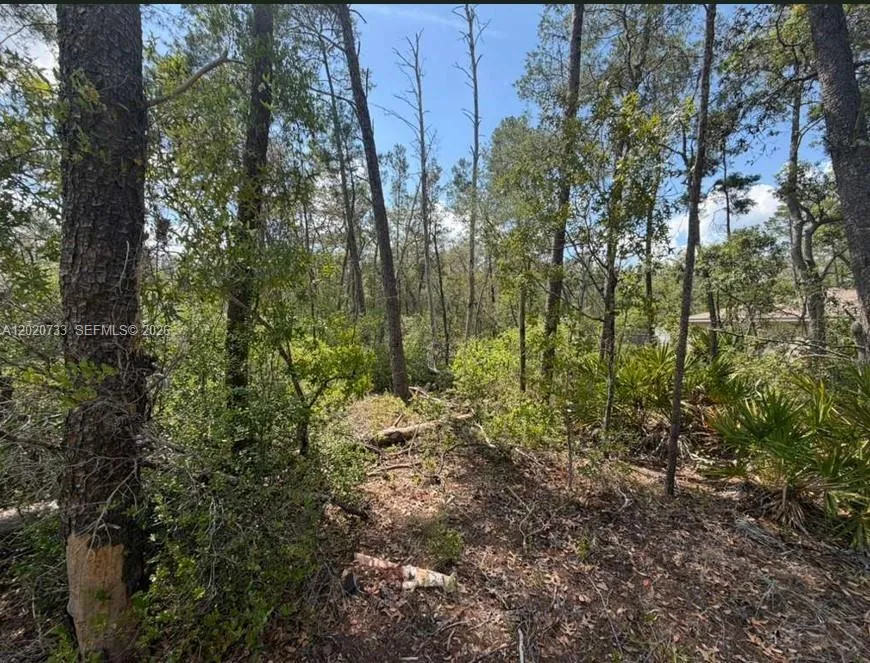 70 Malauka Pass Course Other City - In The State Of Florida, FL 32179