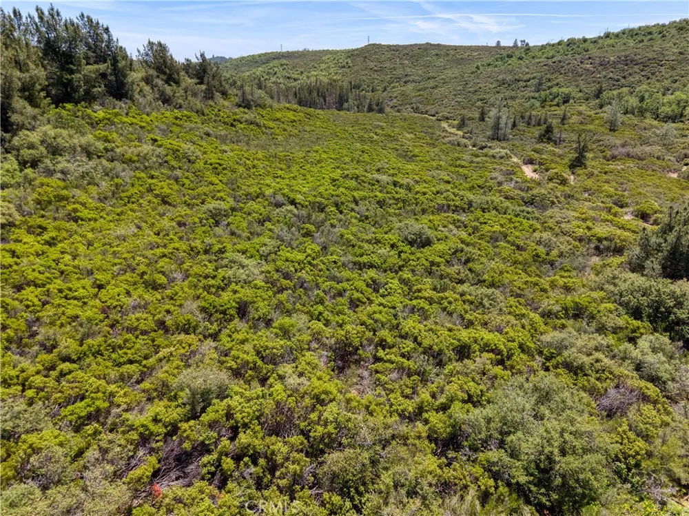11619 Diener Drive Lower Lake, CA 95457