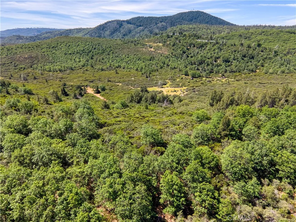 11619 Diener Drive Lower Lake, CA 95457