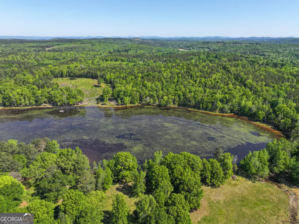 360 Parrish Road (12 +/- Acres) Cedartown, GA 30125