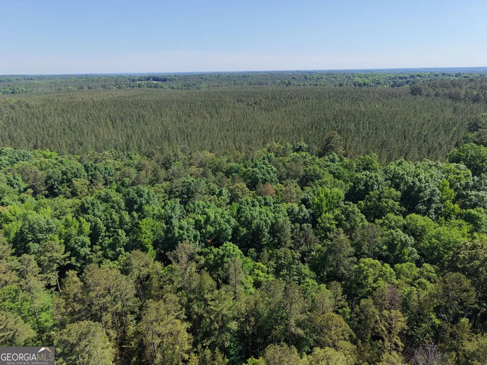 580 Saggus RD Washington, GA 30673