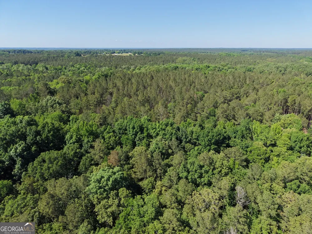 580 Saggus RD Washington, GA 30673