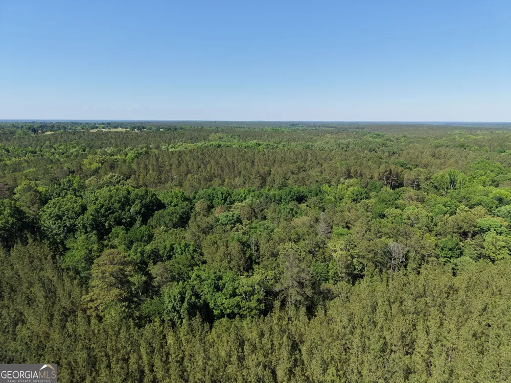 580 Saggus RD Washington, GA 30673