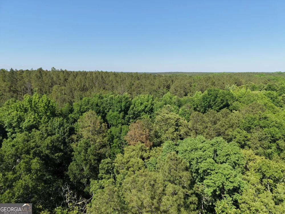 580 Saggus RD Washington, GA 30673