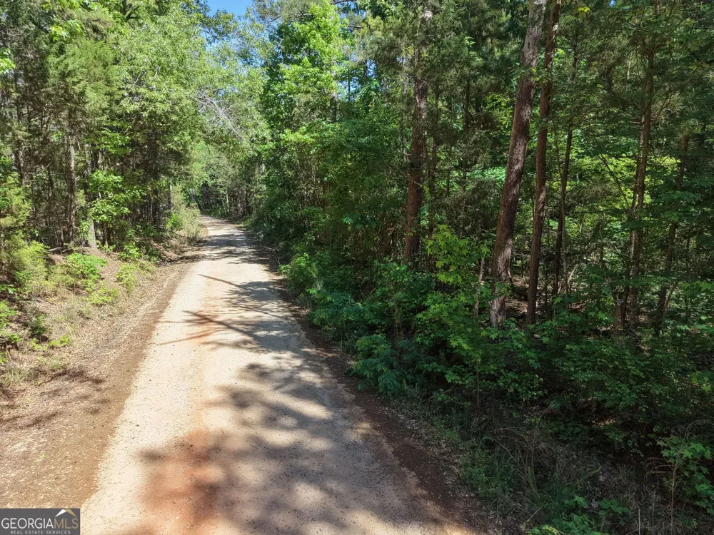 580 Saggus RD Washington, GA 30673