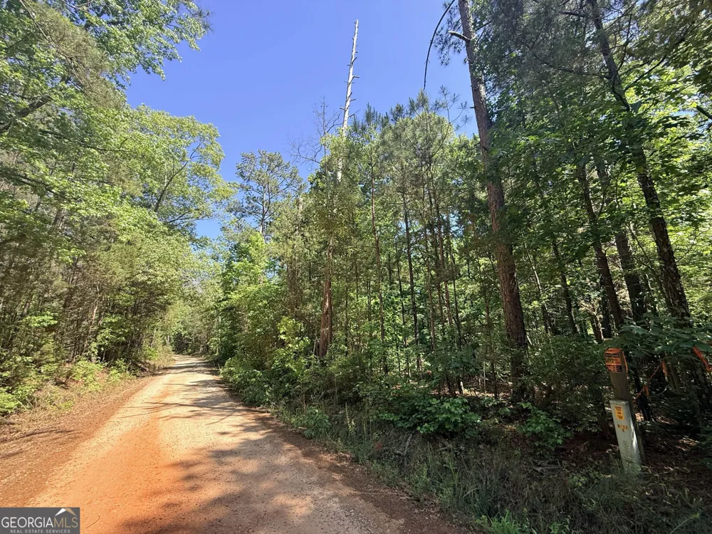 580 Saggus RD Washington, GA 30673