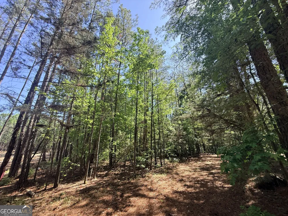 580 Saggus RD Washington, GA 30673