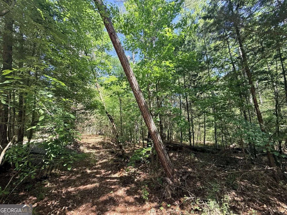580 Saggus RD Washington, GA 30673