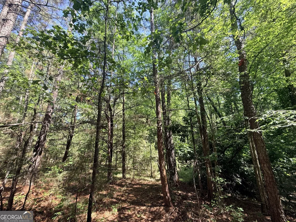 580 Saggus RD Washington, GA 30673