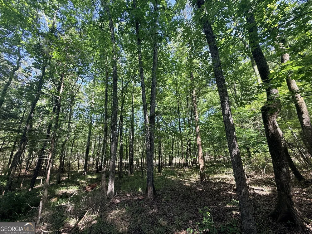 580 Saggus RD Washington, GA 30673