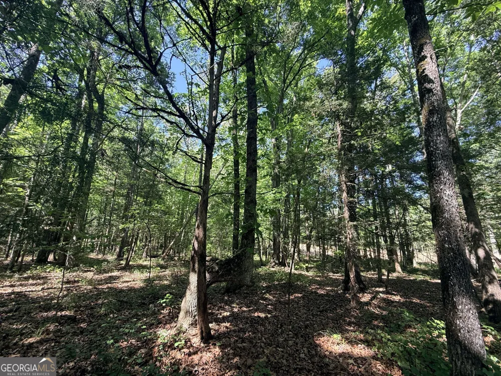 580 Saggus RD Washington, GA 30673