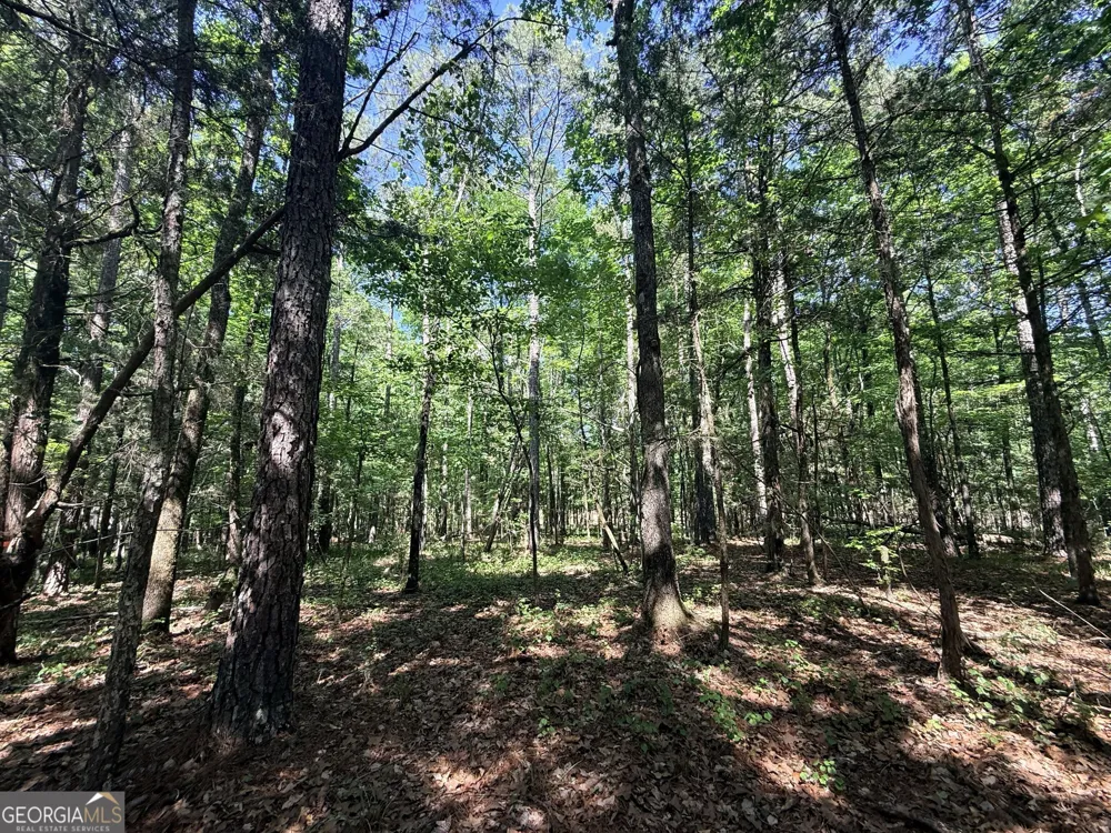 580 Saggus RD Washington, GA 30673