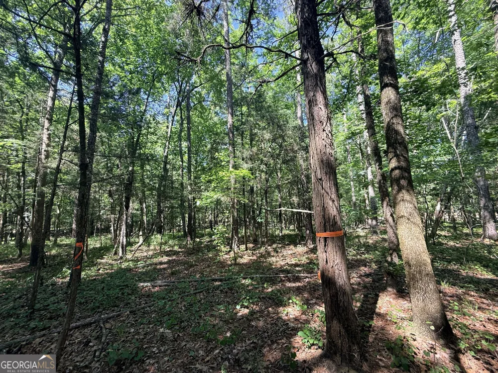 580 Saggus RD Washington, GA 30673
