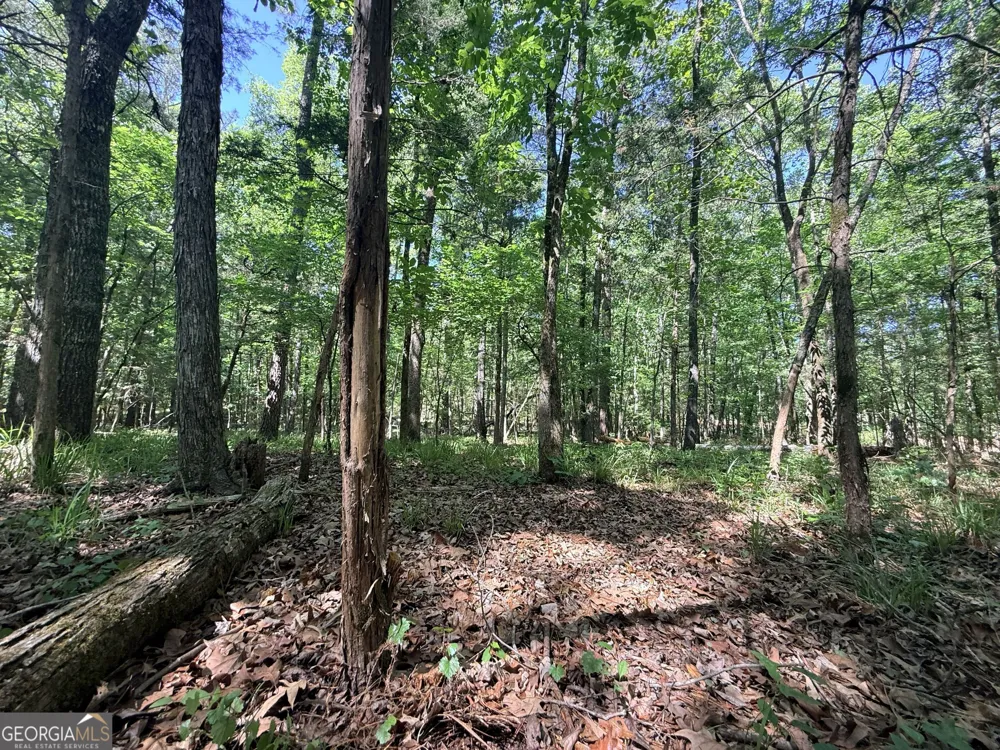 580 Saggus RD Washington, GA 30673