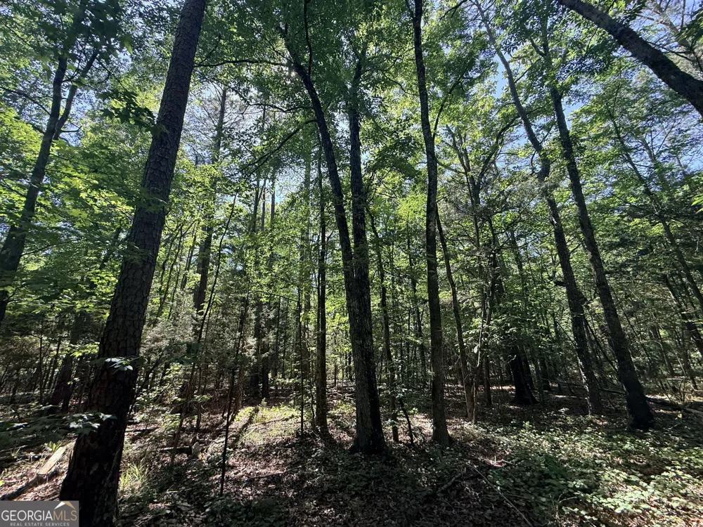580 Saggus RD Washington, GA 30673