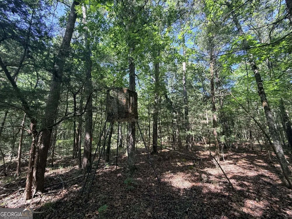 580 Saggus RD Washington, GA 30673