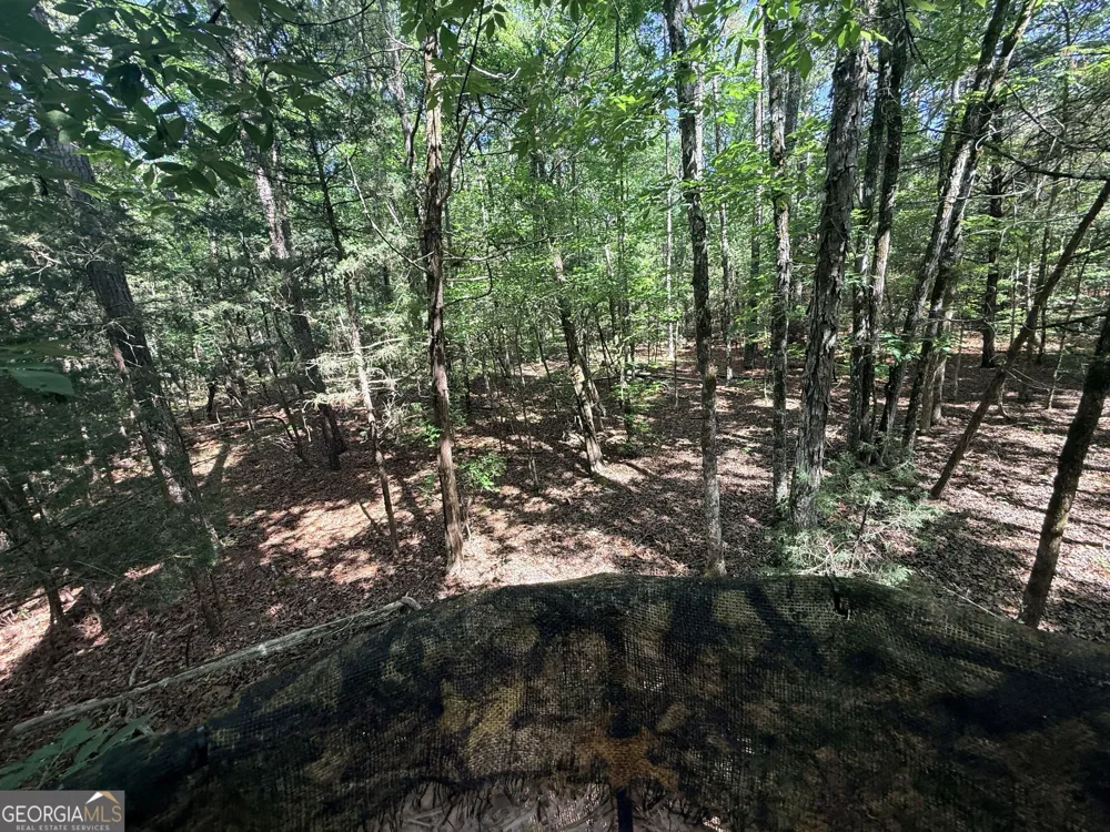 580 Saggus RD Washington, GA 30673