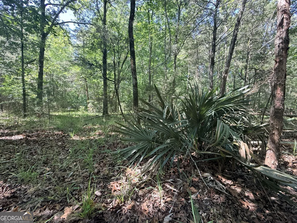 580 Saggus RD Washington, GA 30673