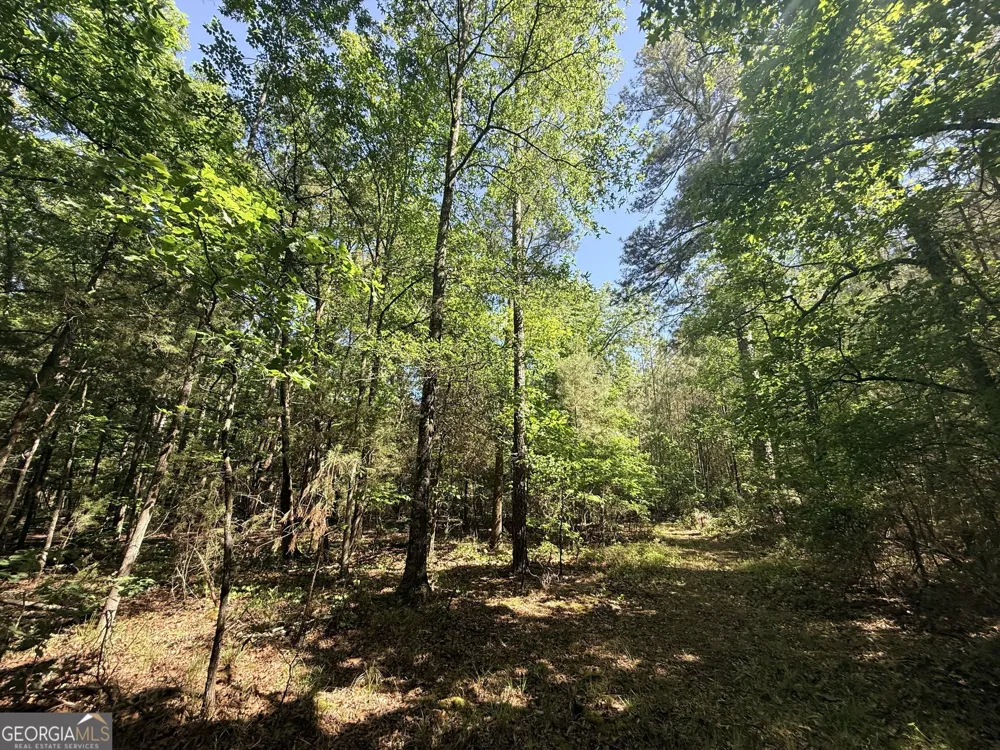 580 Saggus RD Washington, GA 30673