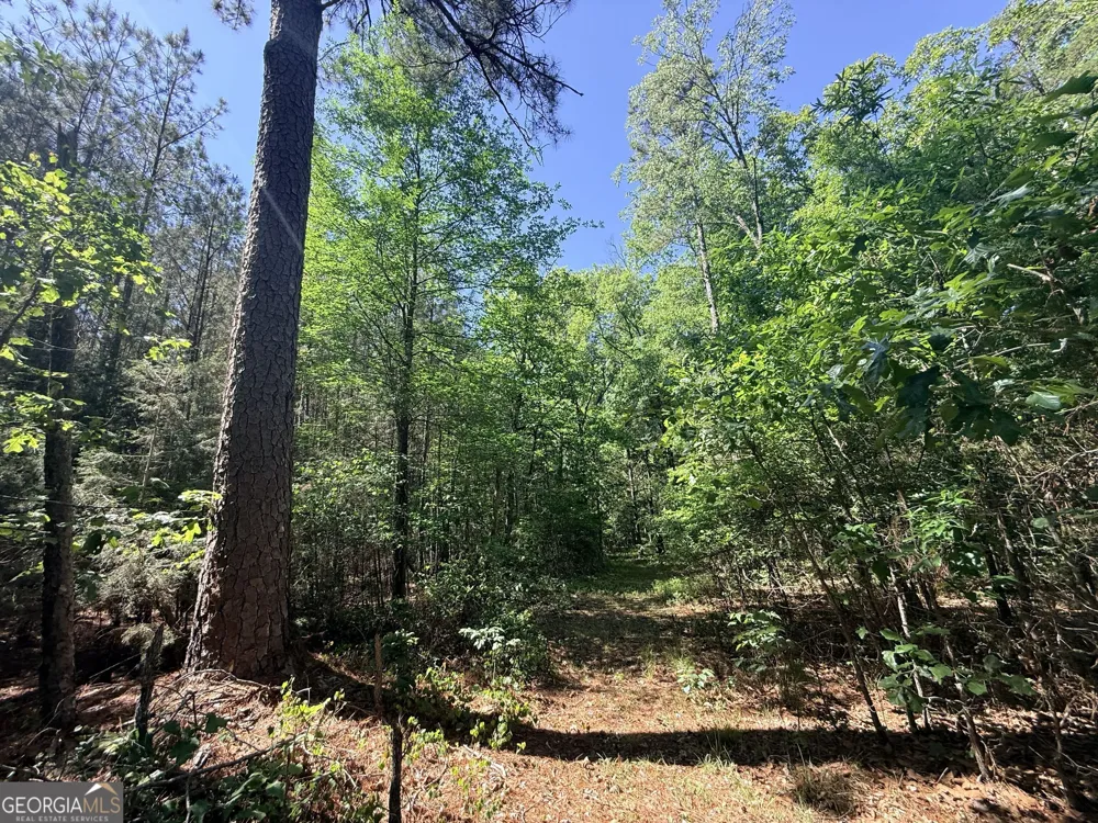 580 Saggus RD Washington, GA 30673