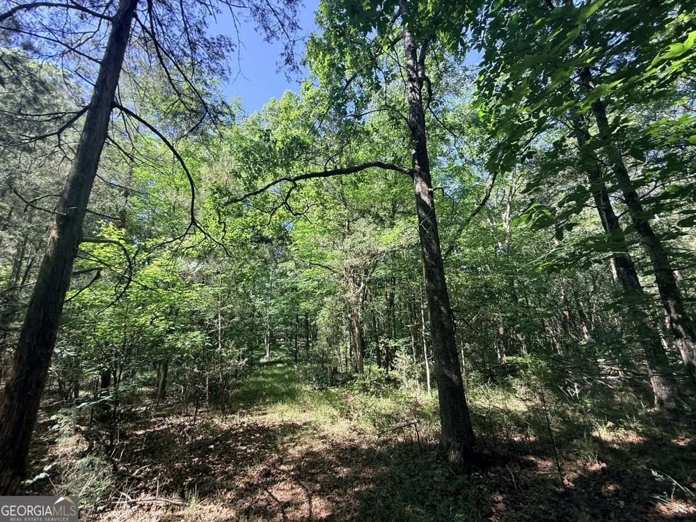 580 Saggus RD Washington, GA 30673