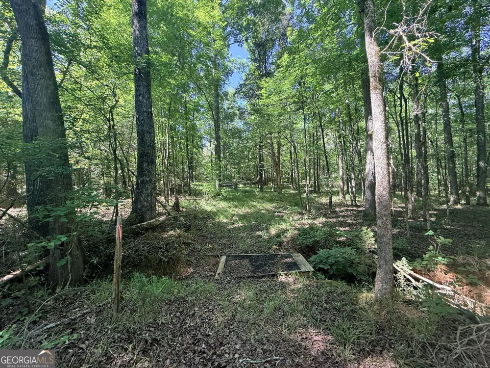 580 Saggus RD Washington, GA 30673