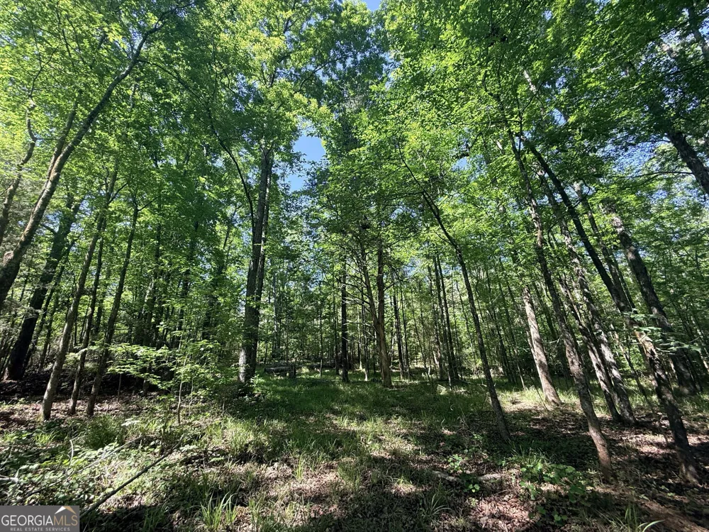 580 Saggus RD Washington, GA 30673