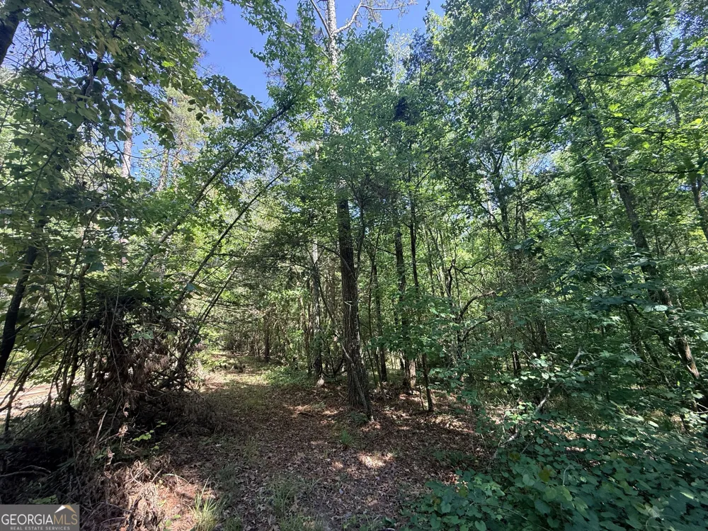 580 Saggus RD Washington, GA 30673