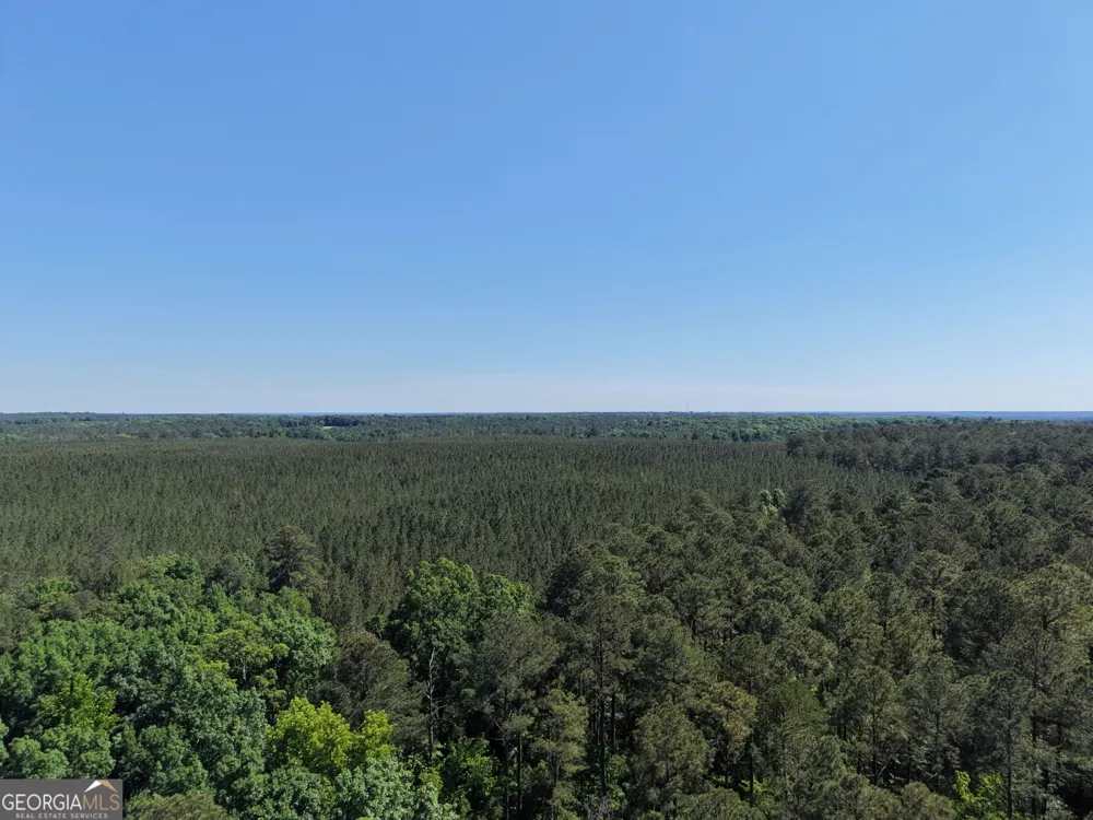 580 Saggus RD Washington, GA 30673