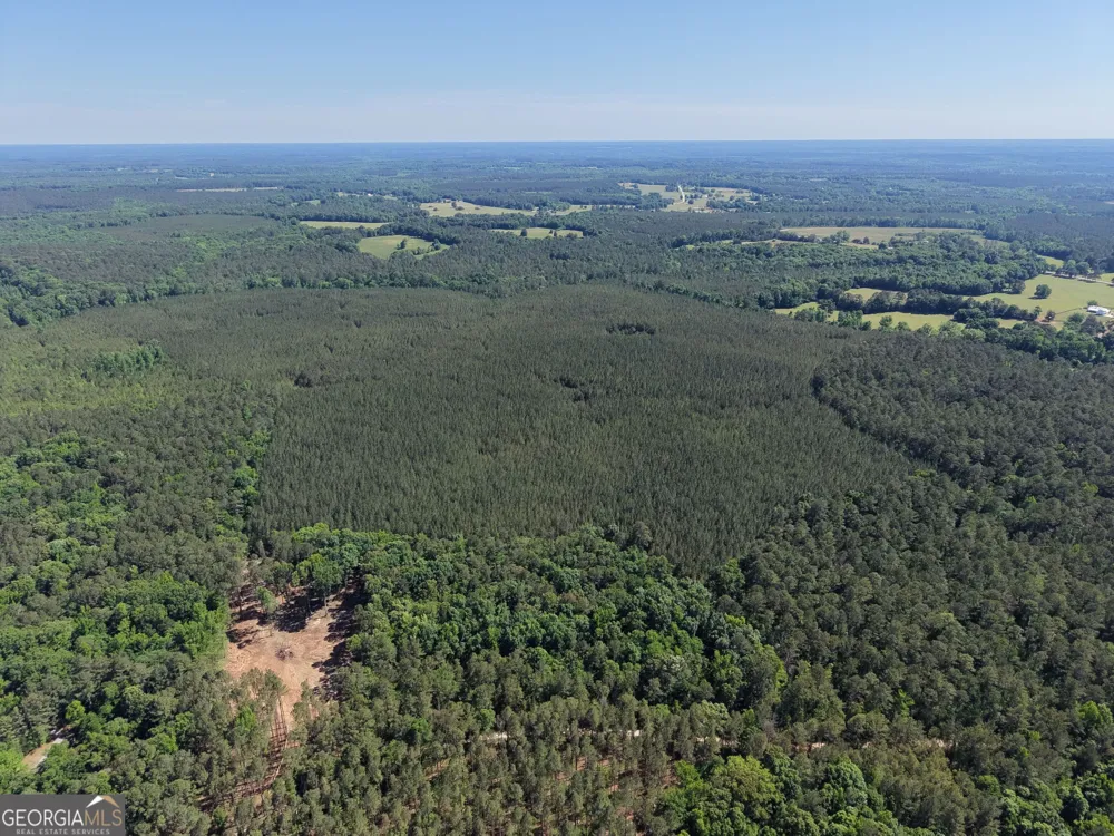 580 Saggus RD Washington, GA 30673