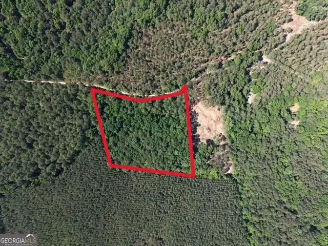 580 Saggus RD Washington, GA 30673