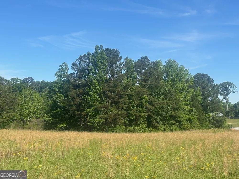 89 Davidson RD Molena, GA 30258