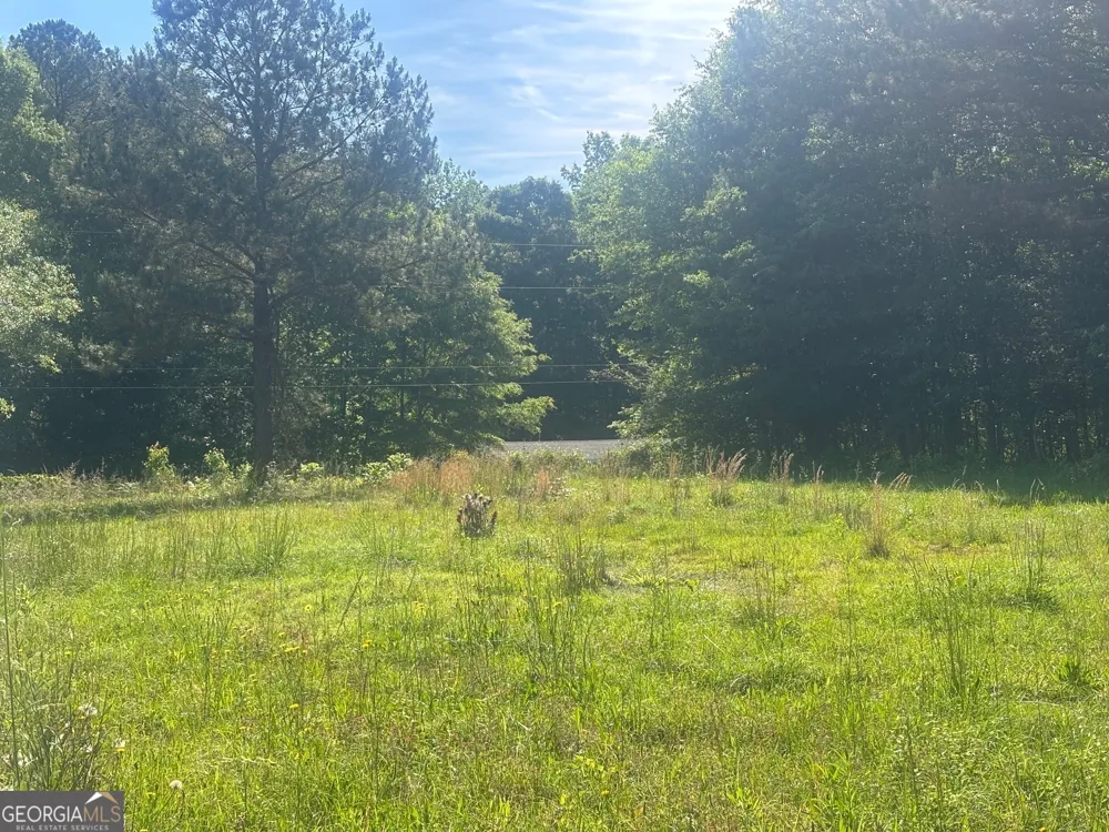 89 Davidson RD Molena, GA 30258