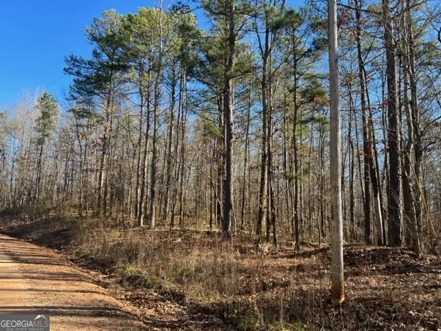 0 Creek RD Ashland, AL 36251