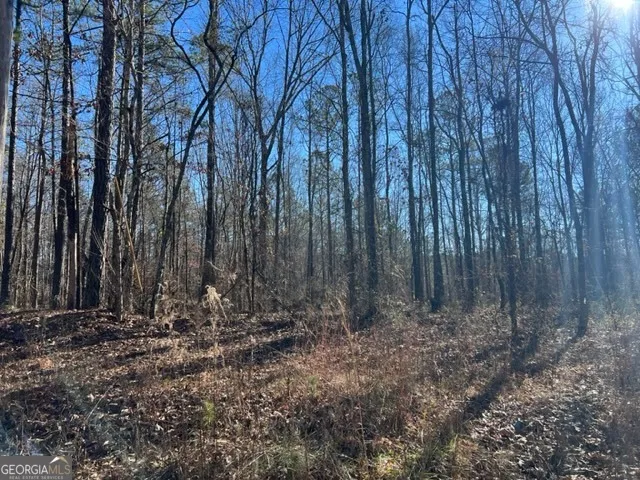 0 Creek RD Ashland, AL 36251