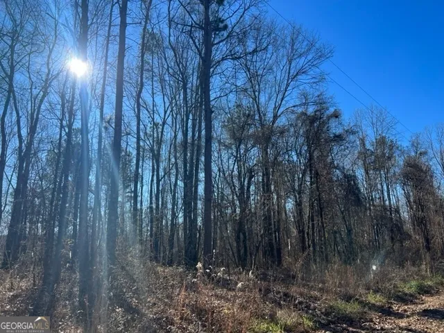 0 Creek RD Ashland, AL 36251