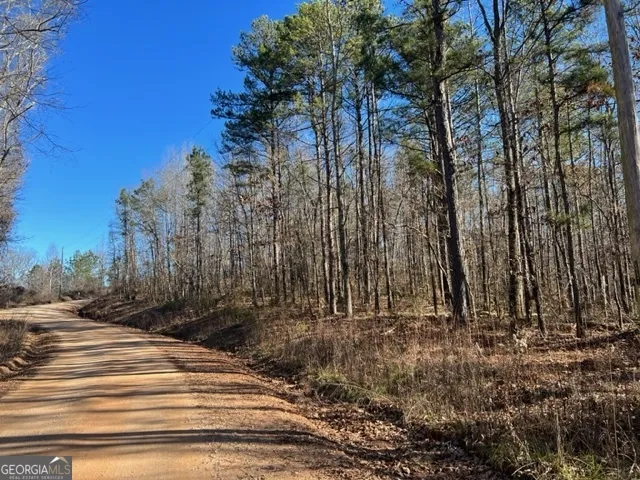 0 Creek RD Ashland, AL 36251