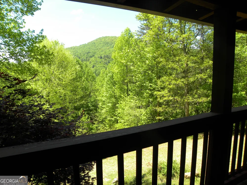 153 Will Zoellner LN Mountain City, GA 30525