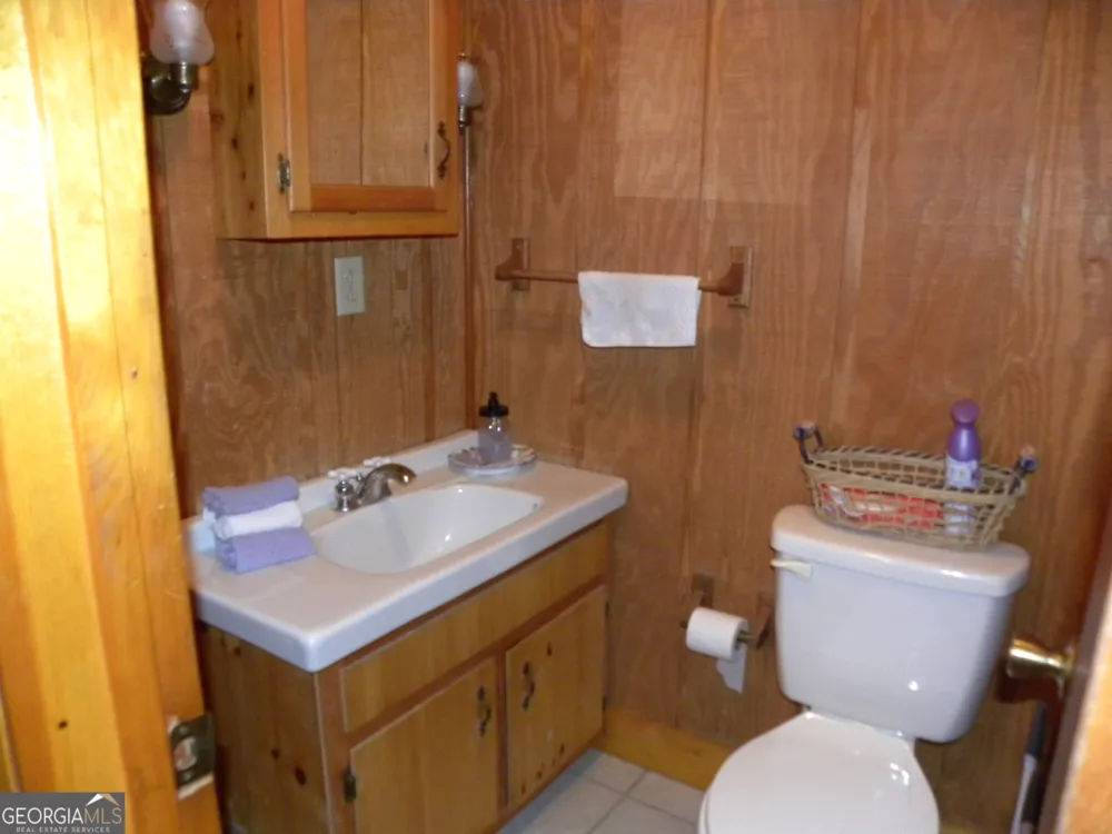 153 Will Zoellner LN Mountain City, GA 30525