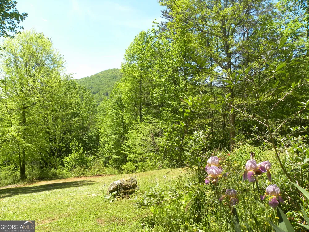 153 Will Zoellner LN Mountain City, GA 30525