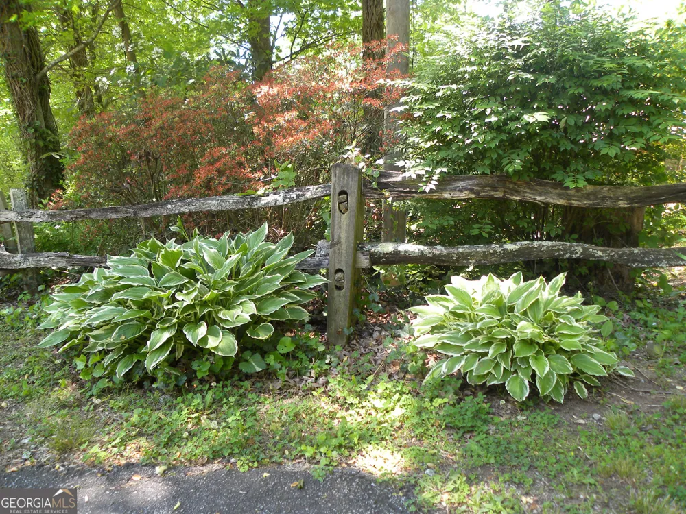 153 Will Zoellner LN Mountain City, GA 30525