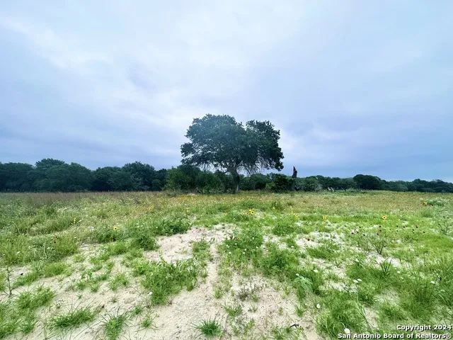 718 SUNRISE LN La Vernia, TX 78121