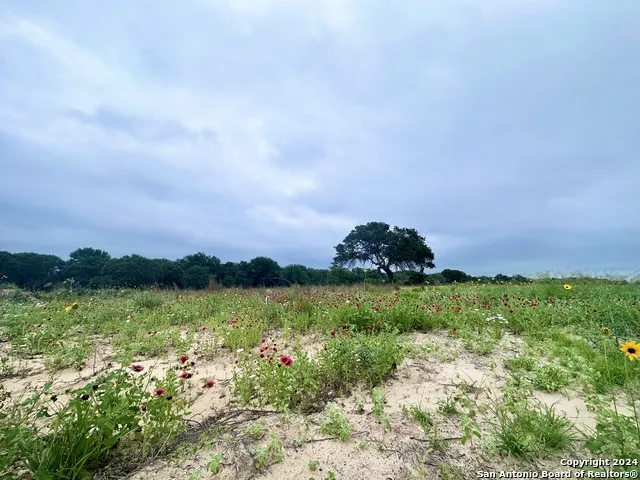 718 SUNRISE LN La Vernia, TX 78121