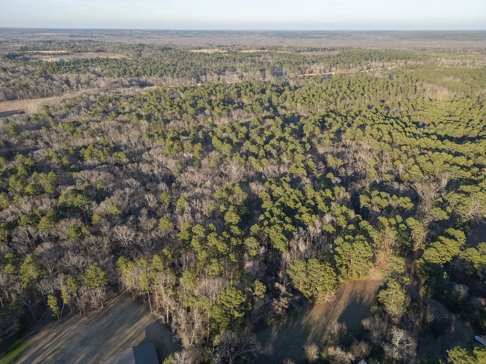 PR 6662 Mineola, TX 75773