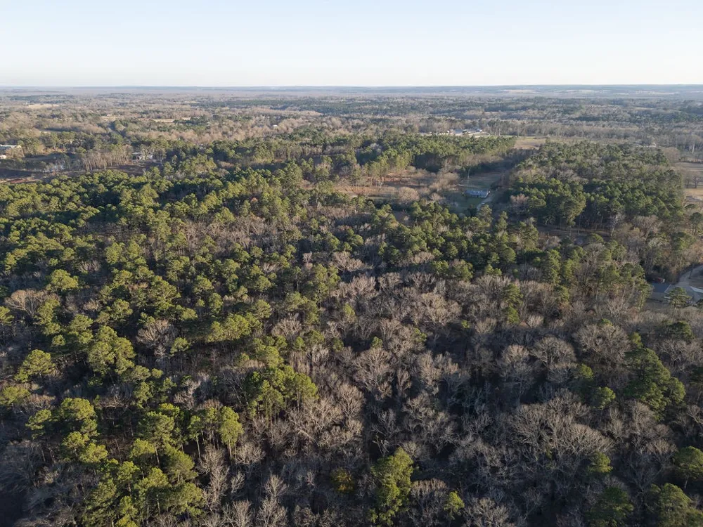 PR 6662 Mineola, TX 75773