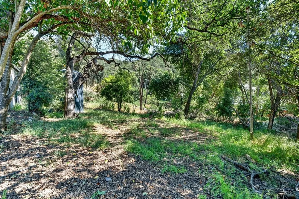 7006 E Highway 20 Lucerne, CA 95458