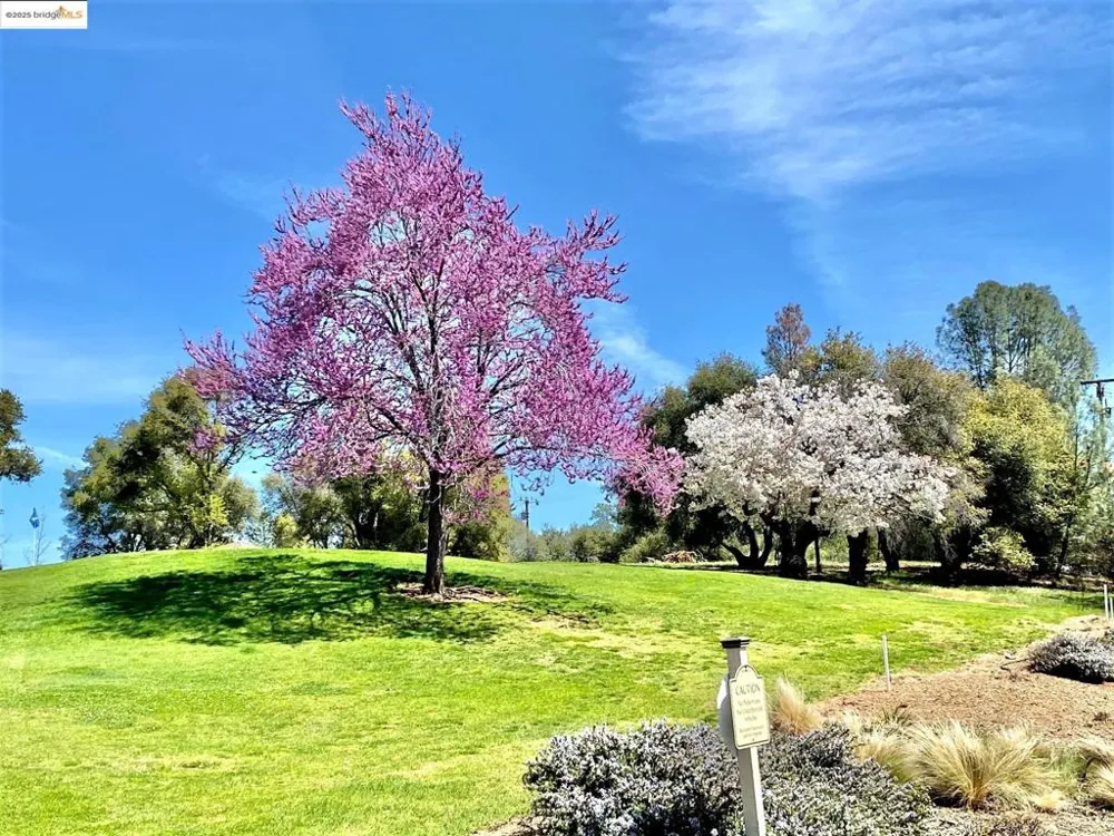 19621 Cottonwood St Groveland, CA 95321